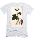 Red Currant Sydenham Teast Edwards T-Shirt