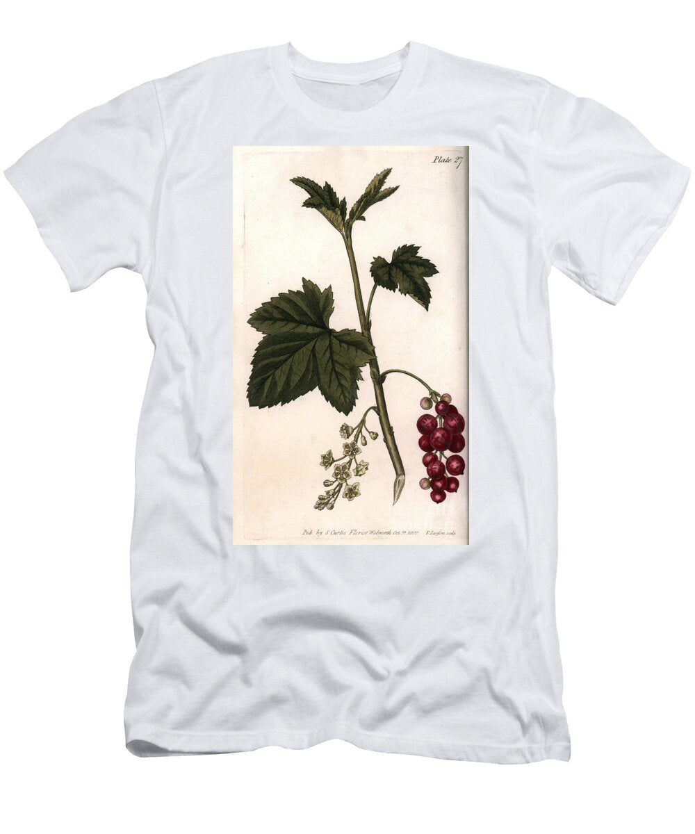 Red Currant Sydenham Teast Edwards T-Shirt