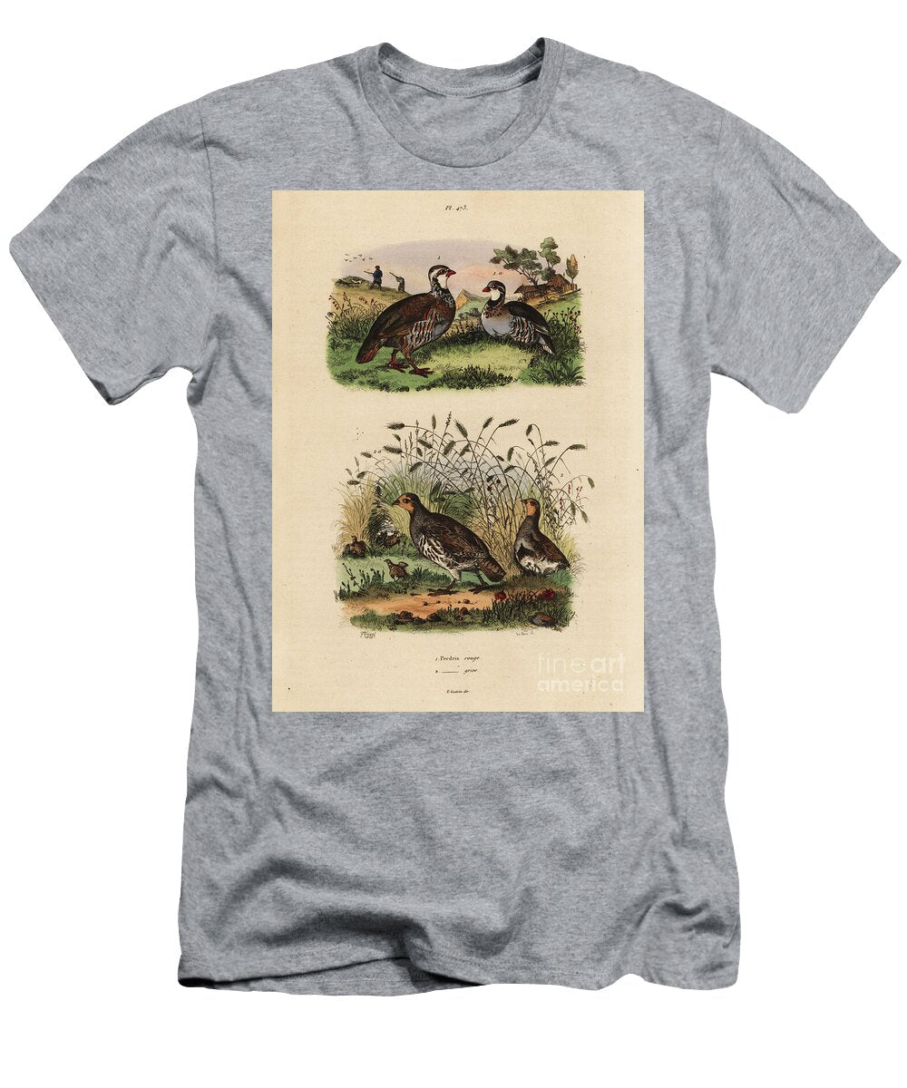 Red Legged Partridge Lectures Rufa and Grey Partridge Perdix Perdix Perdrix Rouge Et Perdrix Grise Unknown T-Shirt