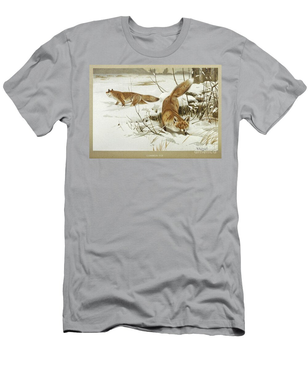 Red or Common Fox Vulpes Vulpes L4 Historic Illustrations T-Shirt