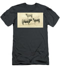 Red Polled Cattle Q1 Historic Illustrations T-Shirt