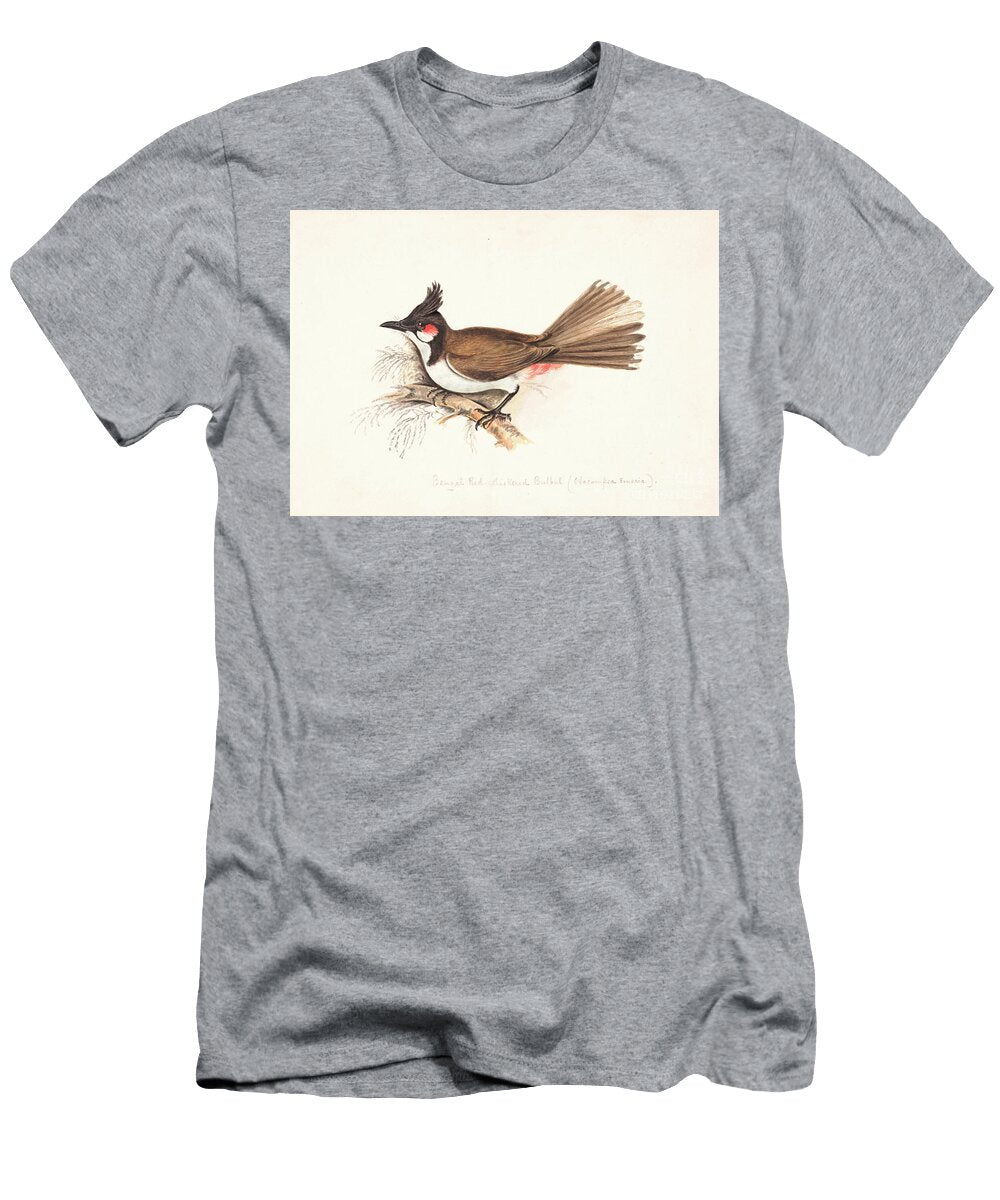 Red Whiskered Bulbul Pycnonotus Jocosus Y1 Historic Illustrations T-Shirt