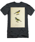 Redstart and Flycatcher of South America 1835 U1 Historic Illustrations T-Shirt