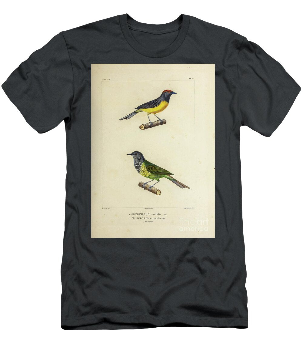 Redstart and Flycatcher of South America 1835 U1 Historic Illustrations T-Shirt