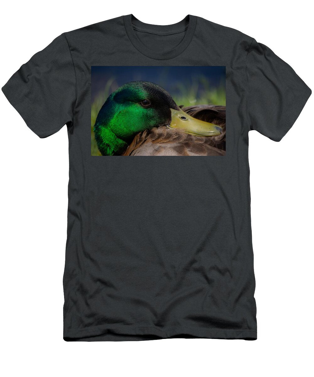 Resting Radiance Close Up of a Mallard Drake Kayly Boles T-Shirt