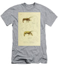 Rhynchocinete Rhynchocinetus and Palemon Paloemon B1 Historic Illustrations T-Shirt