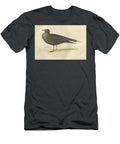 Richardsons Lestris Lestris Richardsonii Historic Illustrations T-Shirt