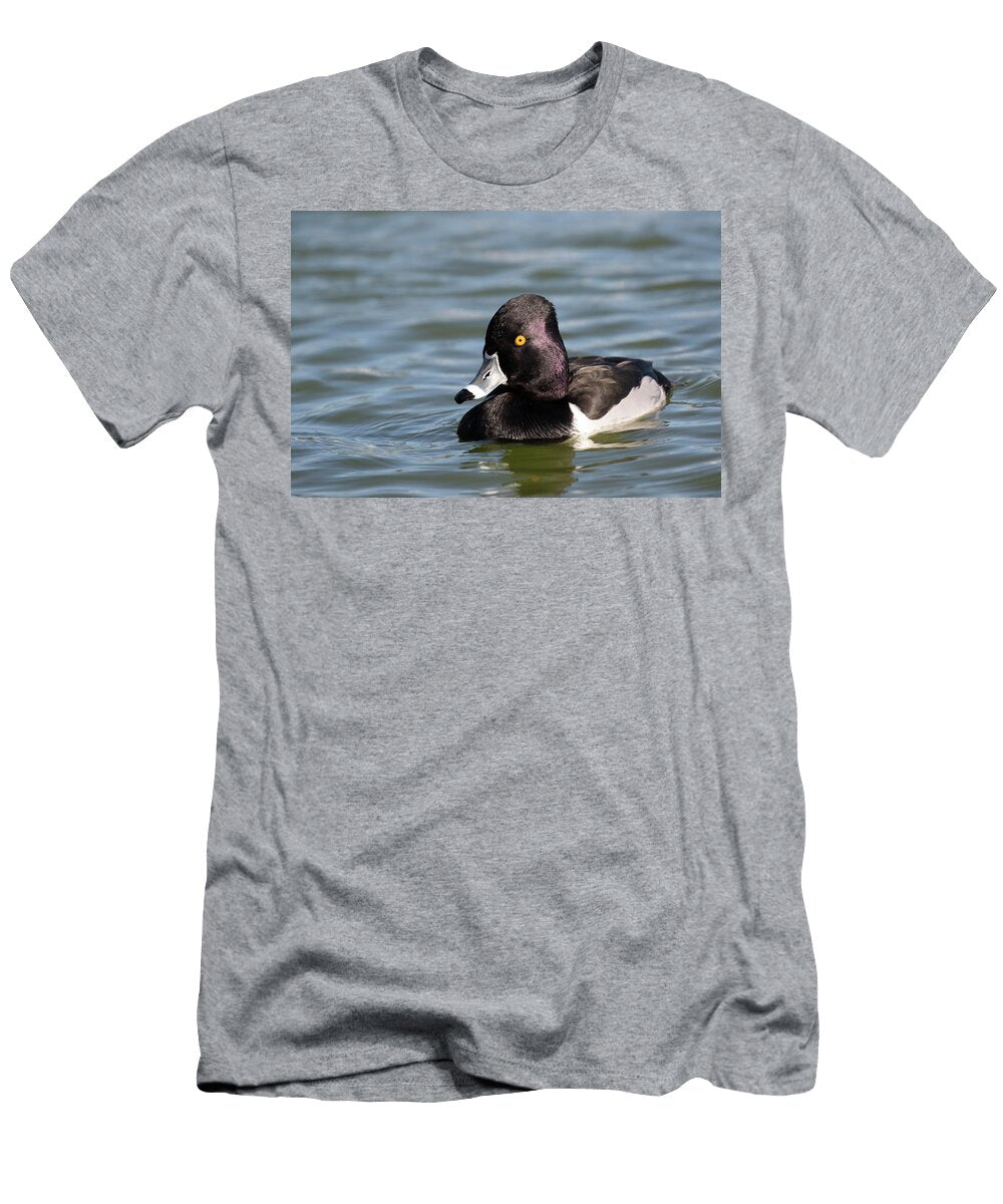 Ring Necked Duck Drake on Freshwater Lake Lakeland Lynn M Stone Natureplcom T-Shirt
