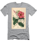 Rocktrumpet Mandevilla Martiana Knob Jointed Dipladenia Dipladenia Crassinoda European School T-Shirt