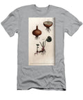 Roots and Bulbs of Onion and Saxifrage Granulee or So Called Bulbils Sydenham Teast Edwards T-Shirt