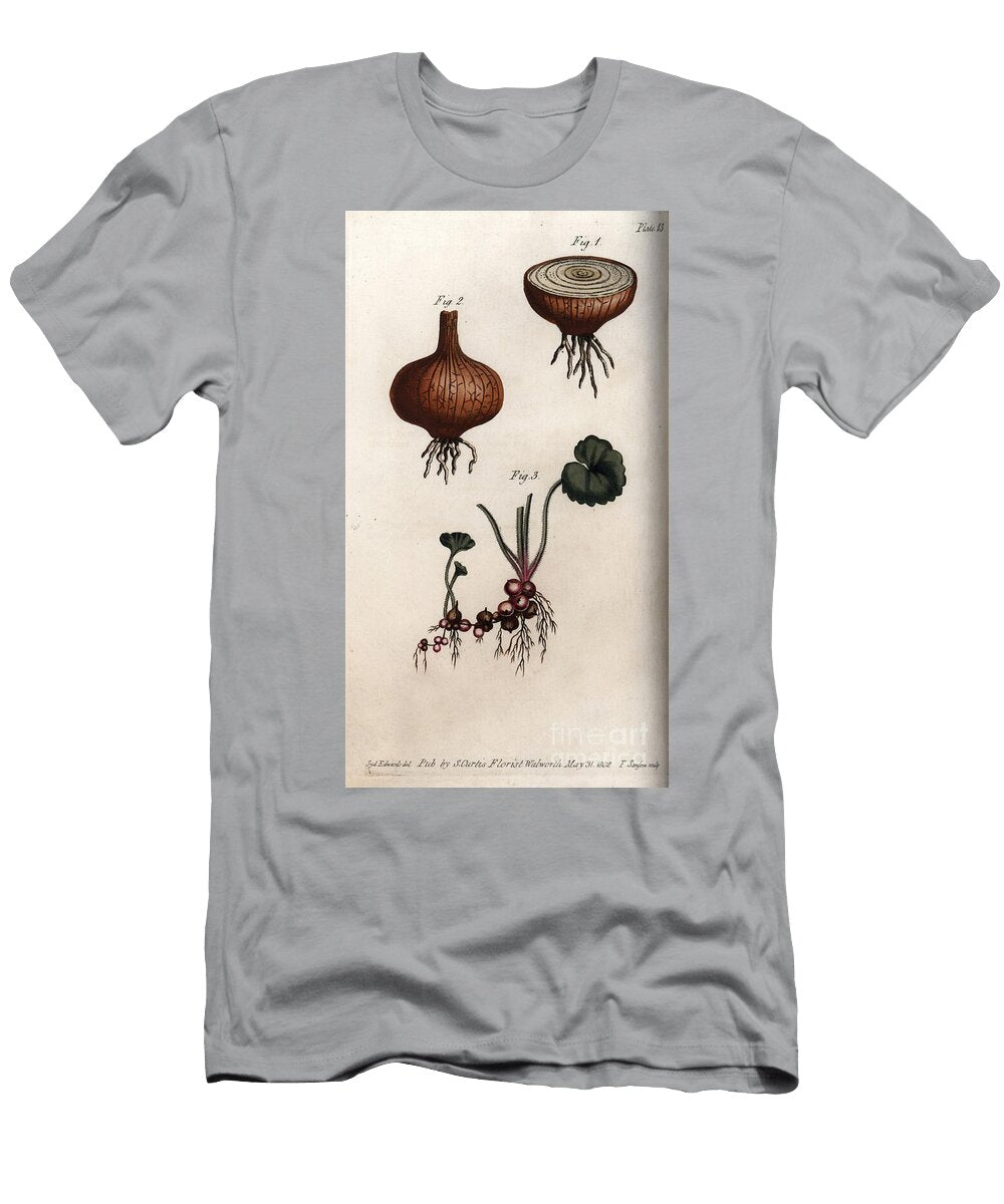 Roots and Bulbs of Onion and Saxifrage Granulee or So Called Bulbils Sydenham Teast Edwards T-Shirt