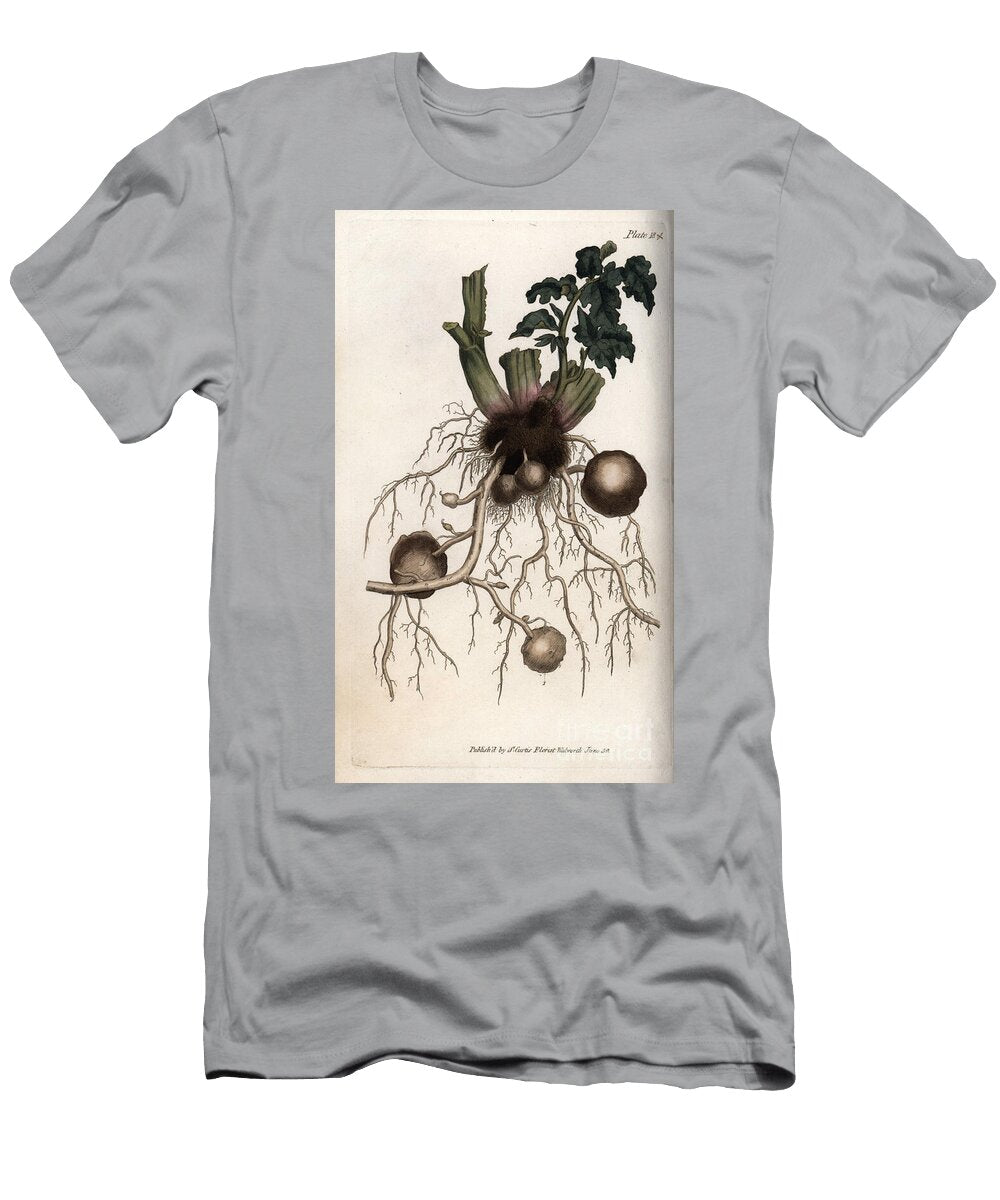 Roots and Tubers of a Seed Potato Sydenham Teast Edwards T-Shirt