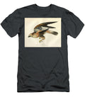 Rough Legged Buzzard Buteo Lagopus O1 H T-Shirt