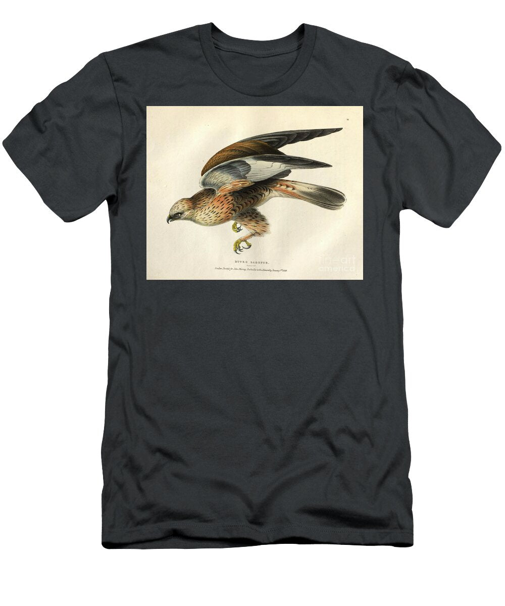 Rough Legged Buzzard Buteo Lagopus O1 H T-Shirt