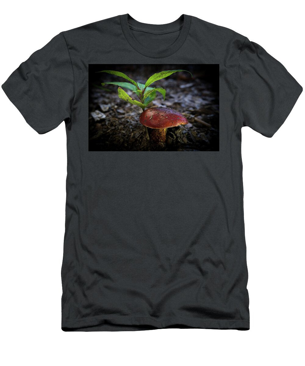 Rustic Red Polypore Douglas Barnett T-Shirt