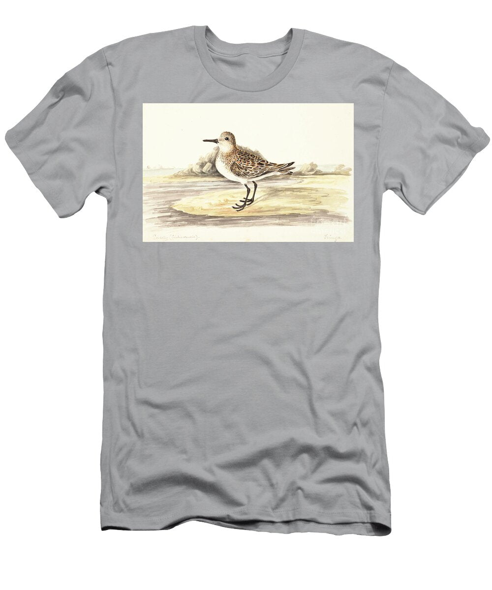 Sanderling Calidris Alba Y1 Historic Illustrations T-Shirt
