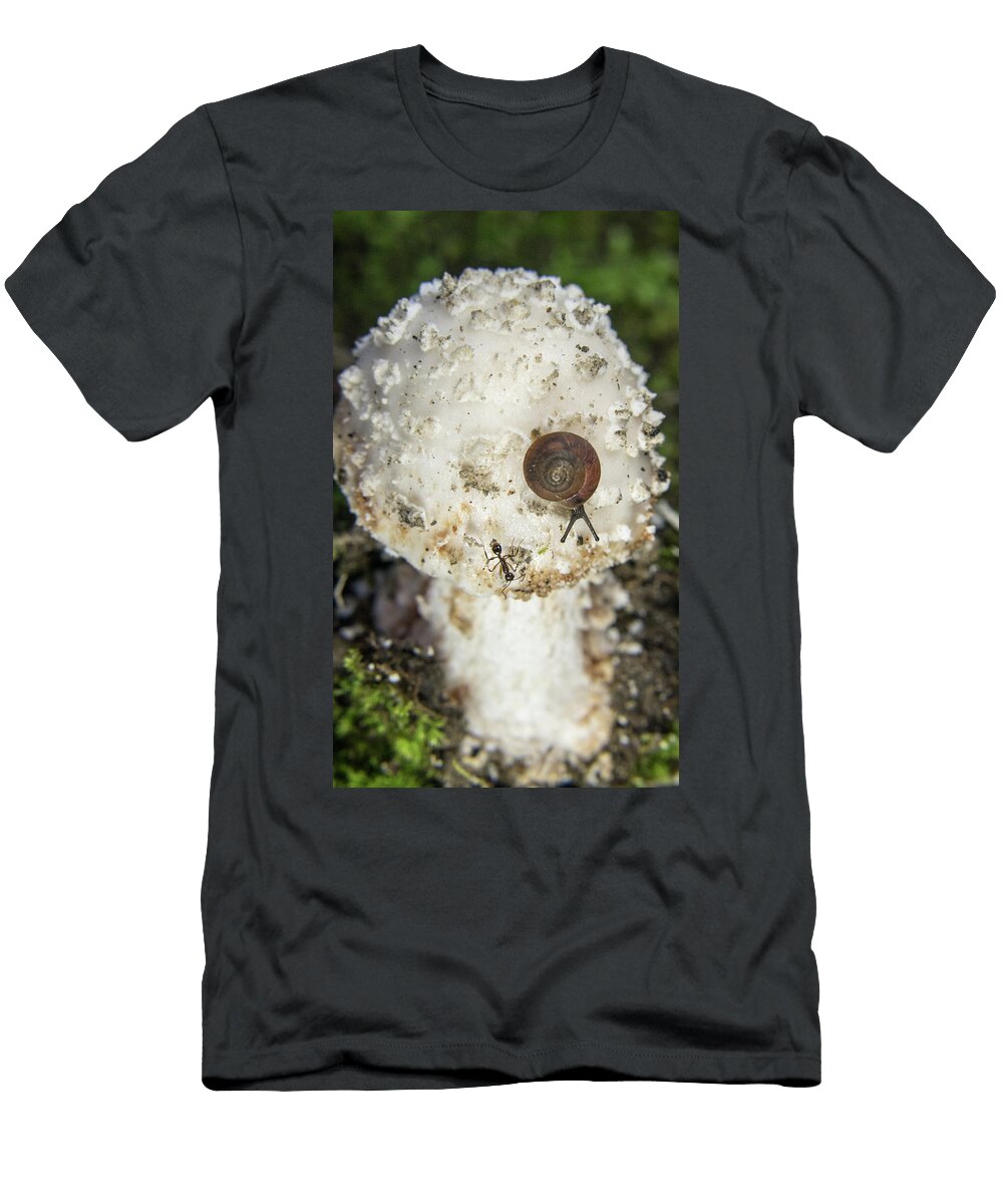 Sanil Escaping From the Deadly Amanita Abrupta Douglas Barnett T-Shirt