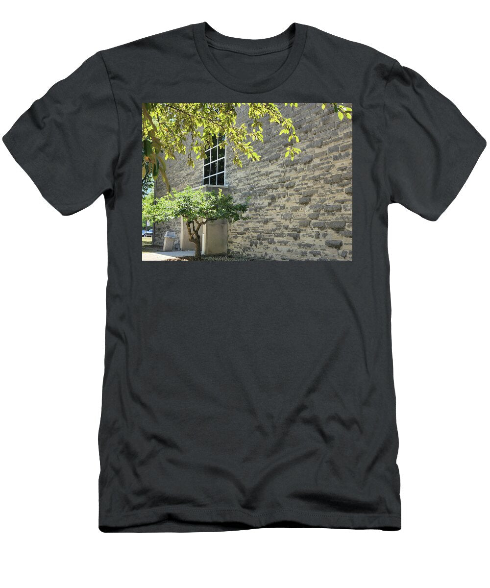 School Building Closeup Kelly Johnson T-Shirt