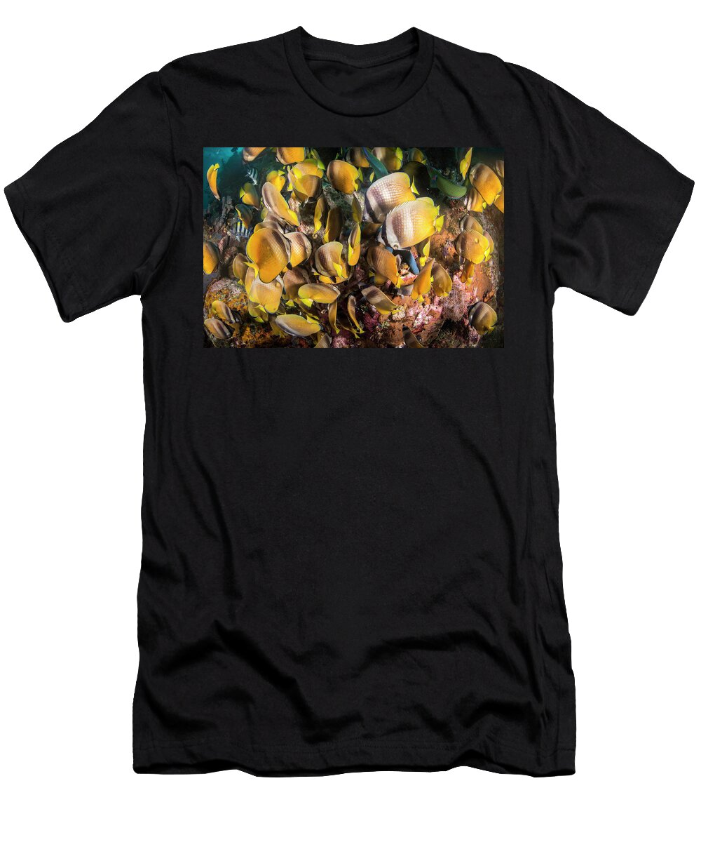 School of Sunburst Butterflyfishes Swoop in to Feed on the Sirachai Arunrugstichai Natureplcom T-Shirt