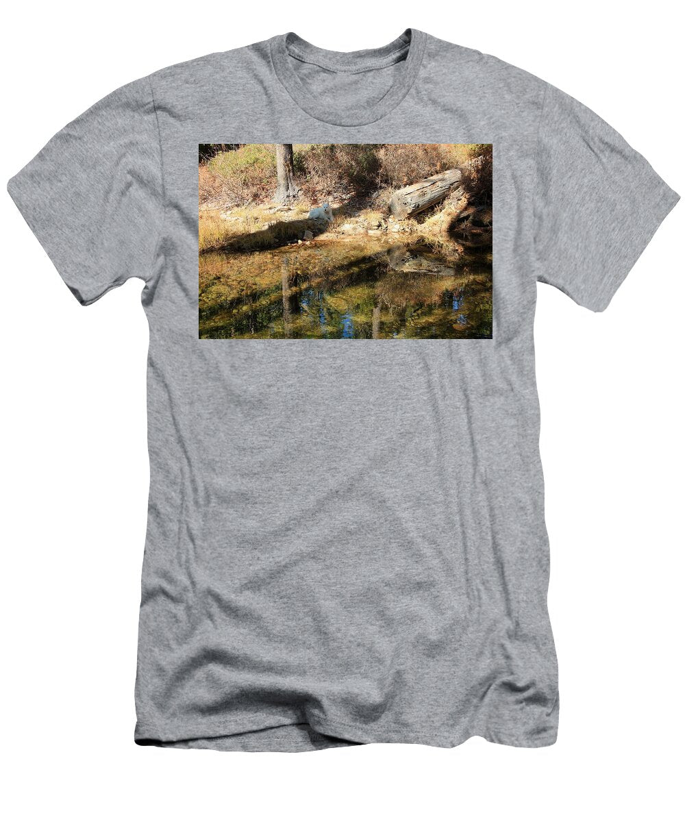 Sekani Autumn Canvas Sean Sarsfield T-Shirt