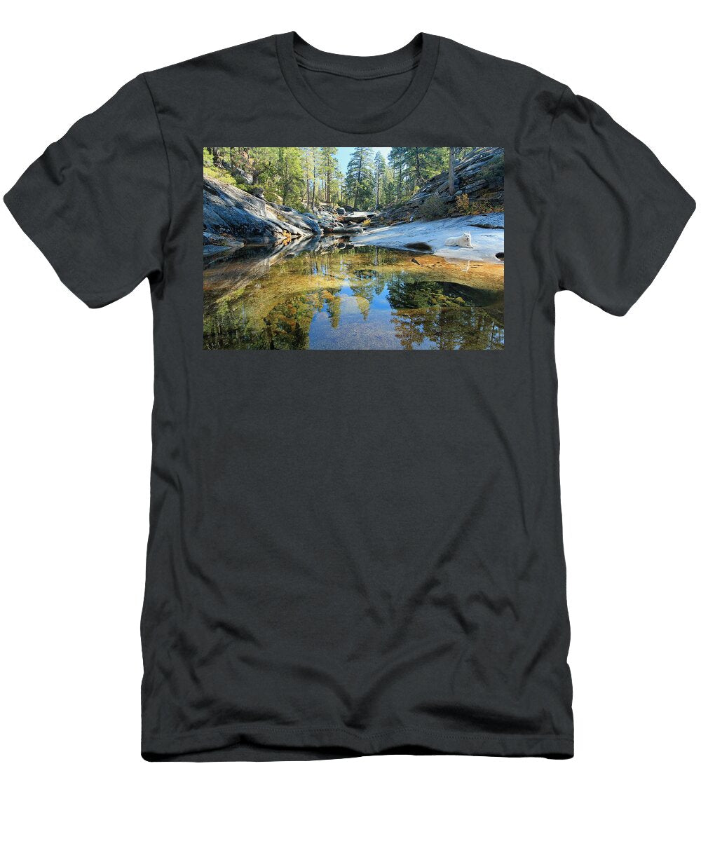 Sekani Autumn Soul Sean Sarsfield T-Shirt