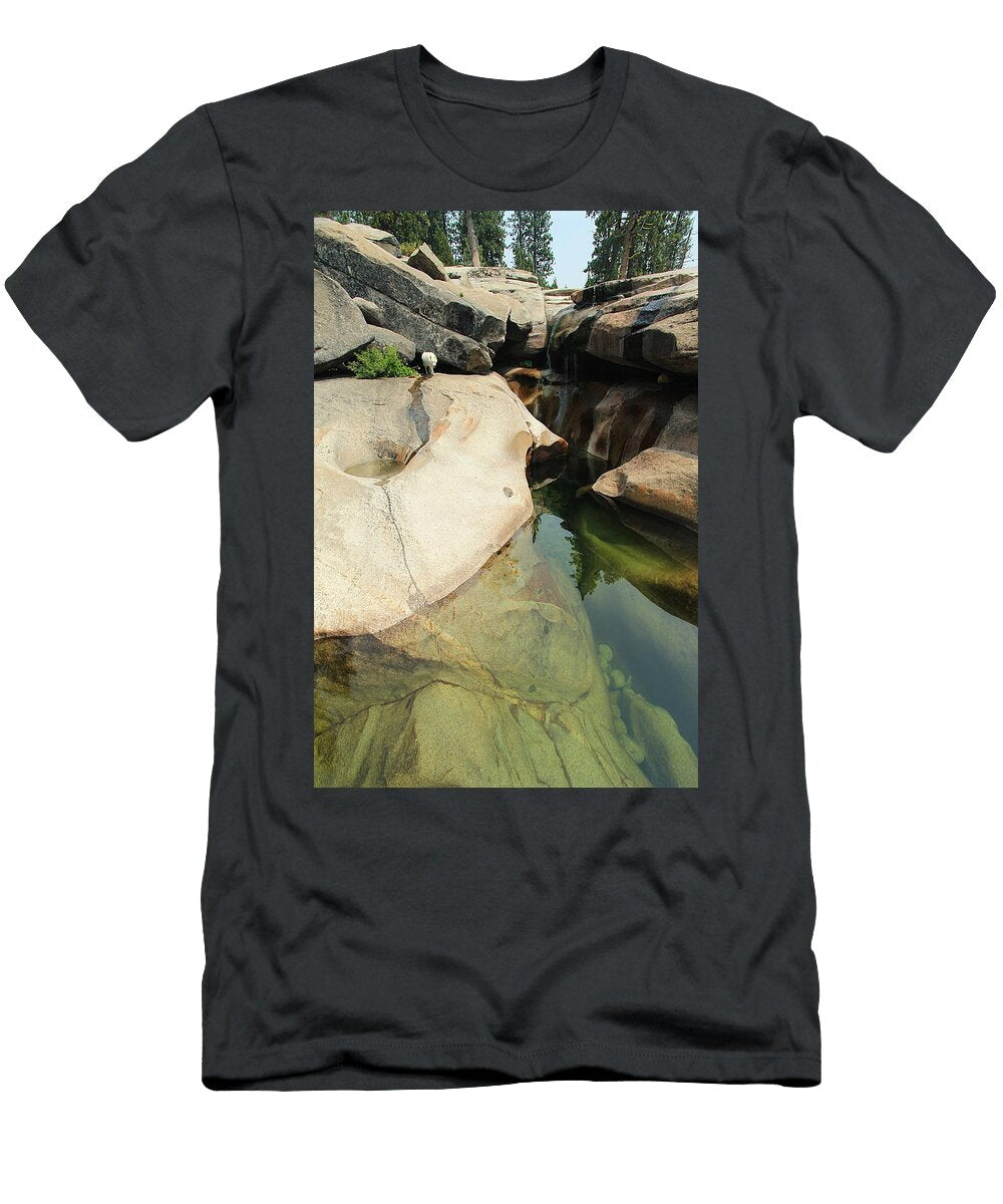 Sekani Walk on the Wild Side Sean Sarsfield T-Shirt