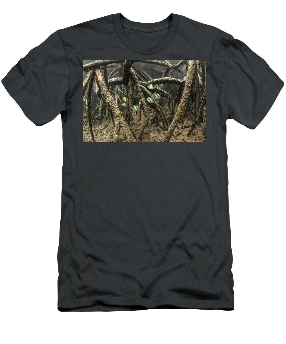 Sergeant Major Schooling in Mangroves of Isabela Island Nick Hawkins Natureplcom T-Shirt