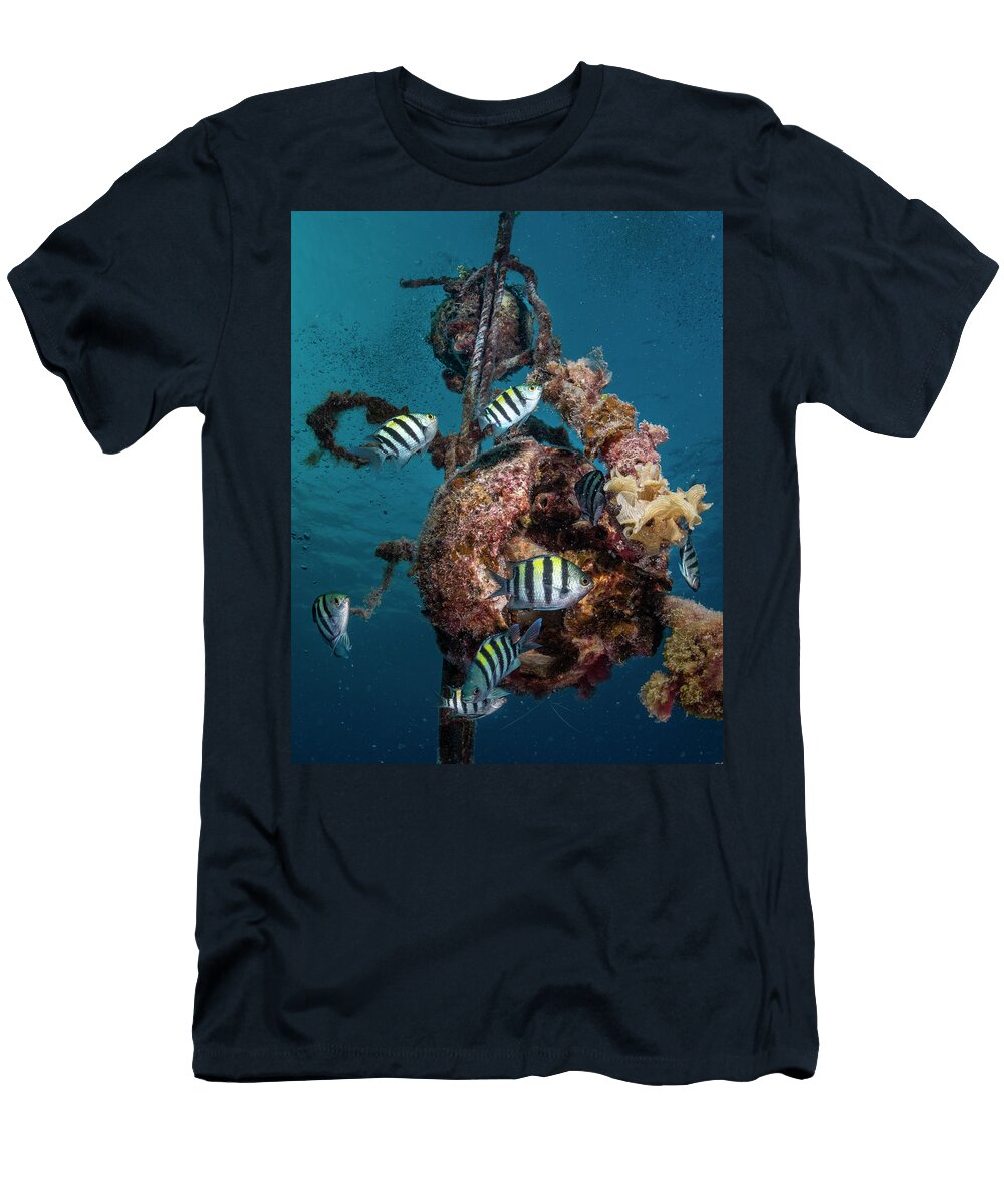 Sergent Major Fish Swimming Around a Boat Mooring Buoy Red Lewis Jefferies Natureplcom T-Shirt