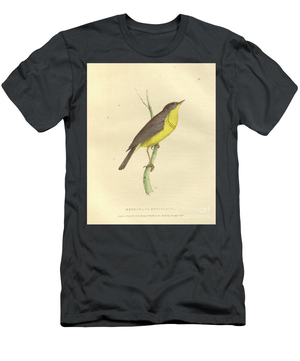 Setophaga Bonapartii Colourised Plate O1 Historic Illustrations T-Shirt
