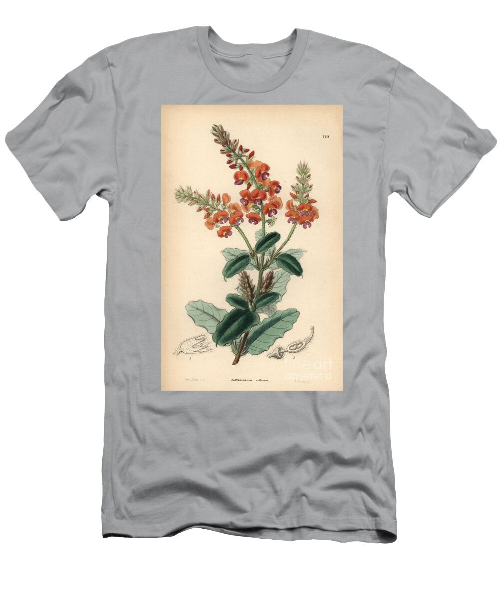 Shaggy Gastrolobe or Crinkle Leaved Poison European School T-Shirt