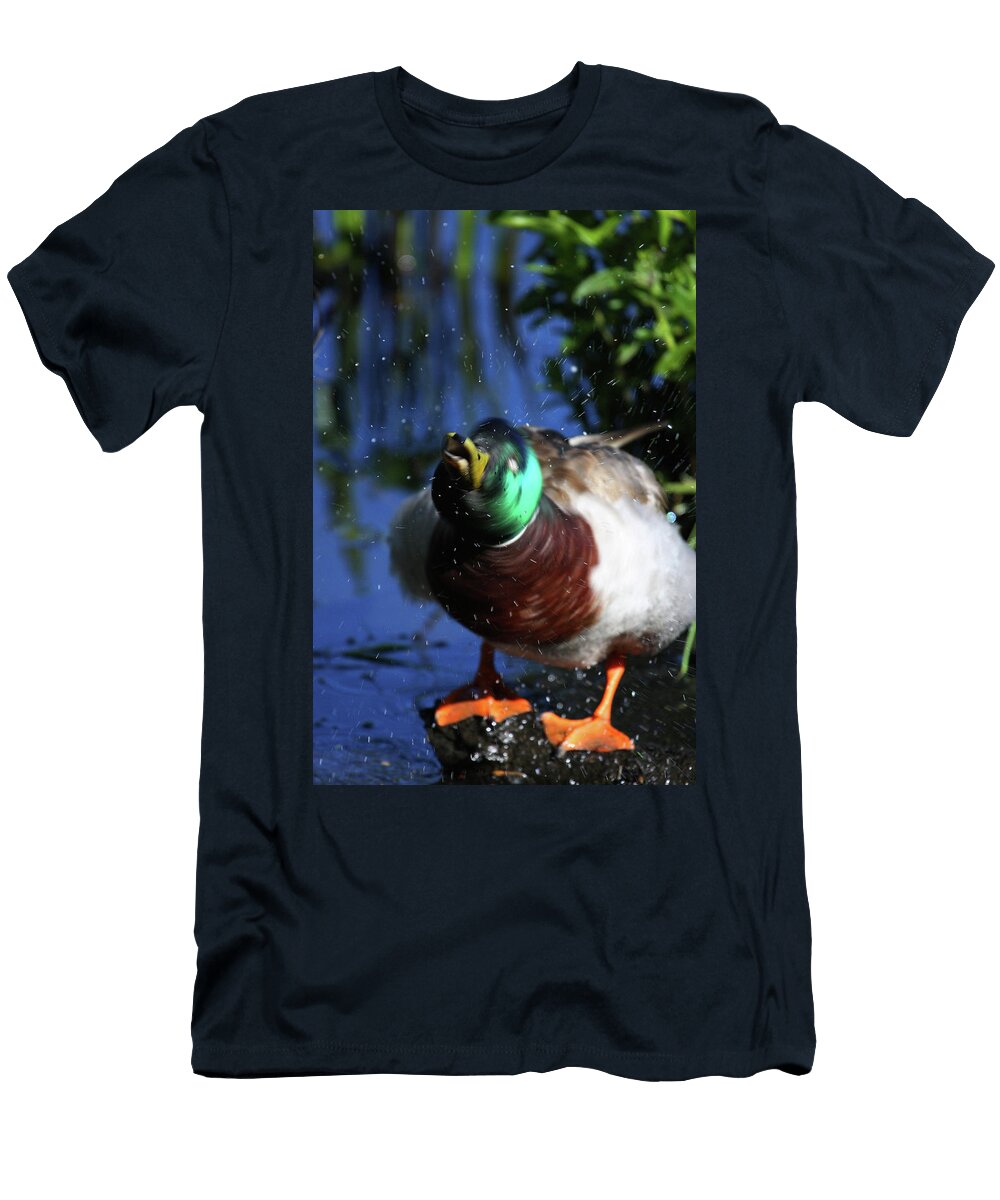 Shake It Off Karol Livote T-Shirt
