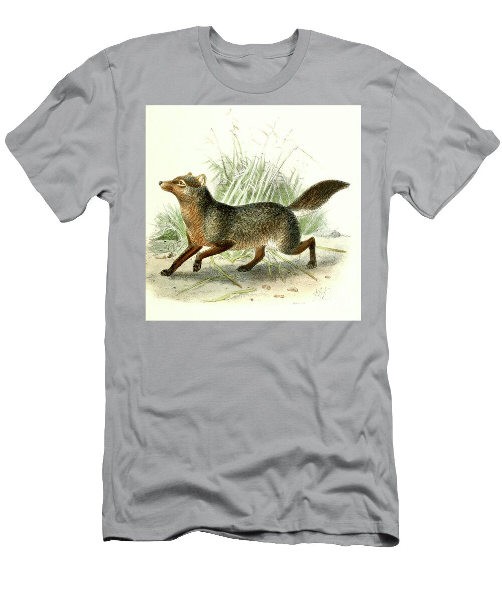 Short Eared Dog Atelocynus Microtis C2 Historic Illustrations T-Shirt