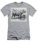 Short Horned Buffalo Congo Variety M1 Historic Illustrations T-Shirt