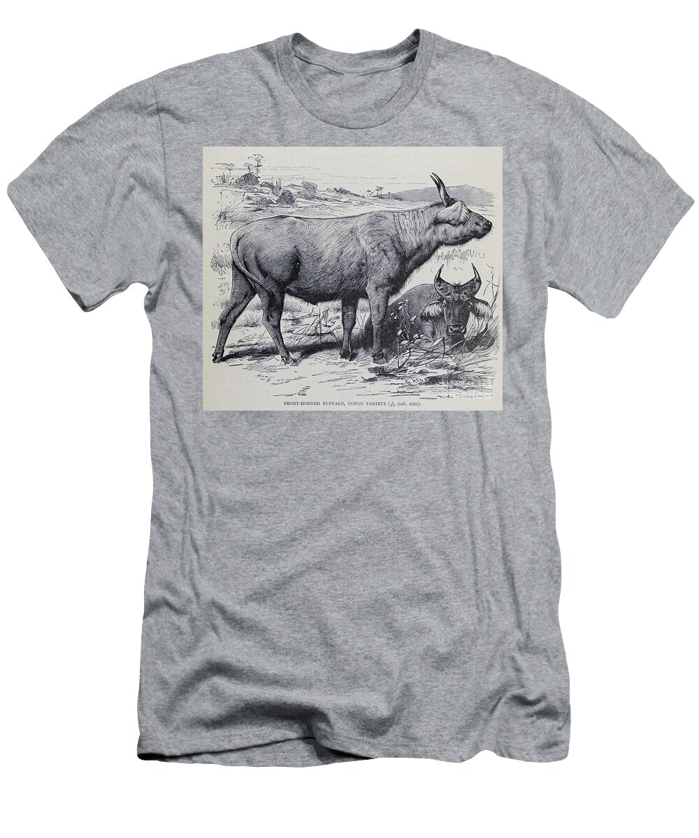 Short Horned Buffalo Congo Variety M1 Historic Illustrations T-Shirt