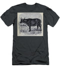 Short Horned Buffalo Sierra Leone Variety M5 Historic Illustrations T-Shirt