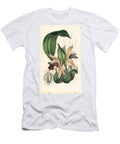 Showy Coelogyne Orchid Coelogyne Speciosa European School T-Shirt