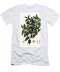 Shrub Schinus Latifolia Pepper Variety Sydenham Teast Edwards T-Shirt