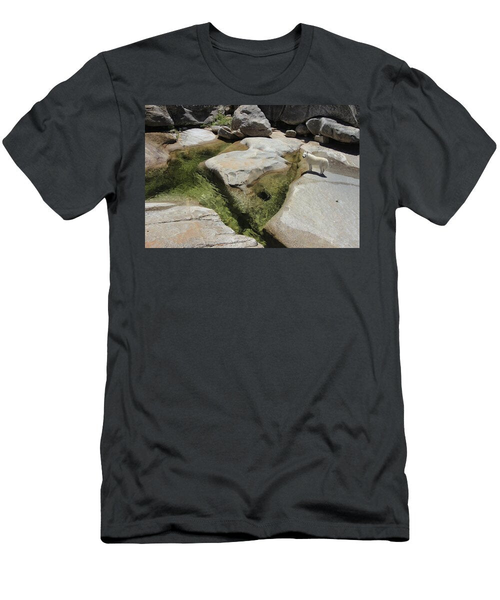 Sierra Oasis Sean Sarsfield T-Shirt