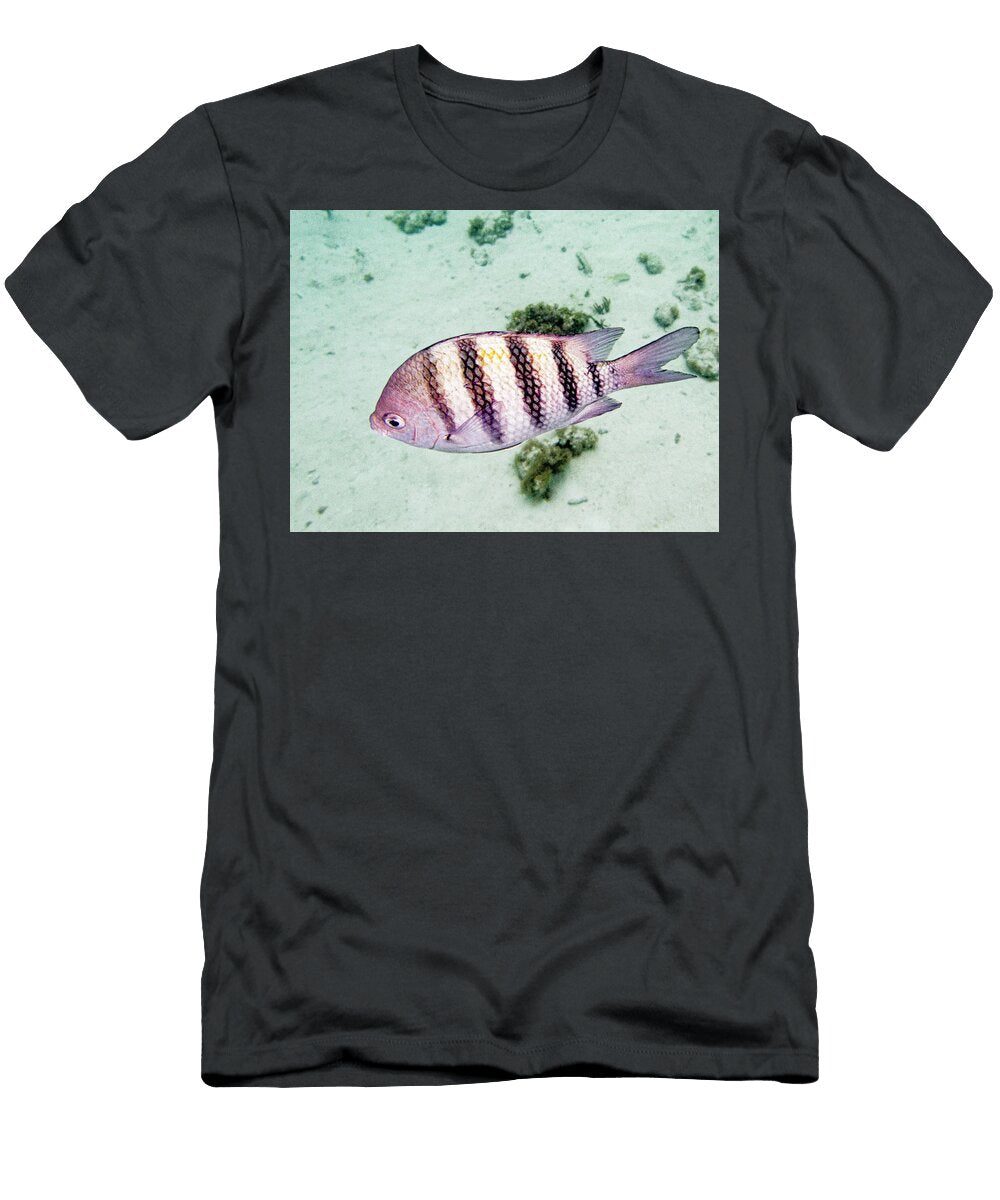 Single Sergeant Terry Melius T-Shirt