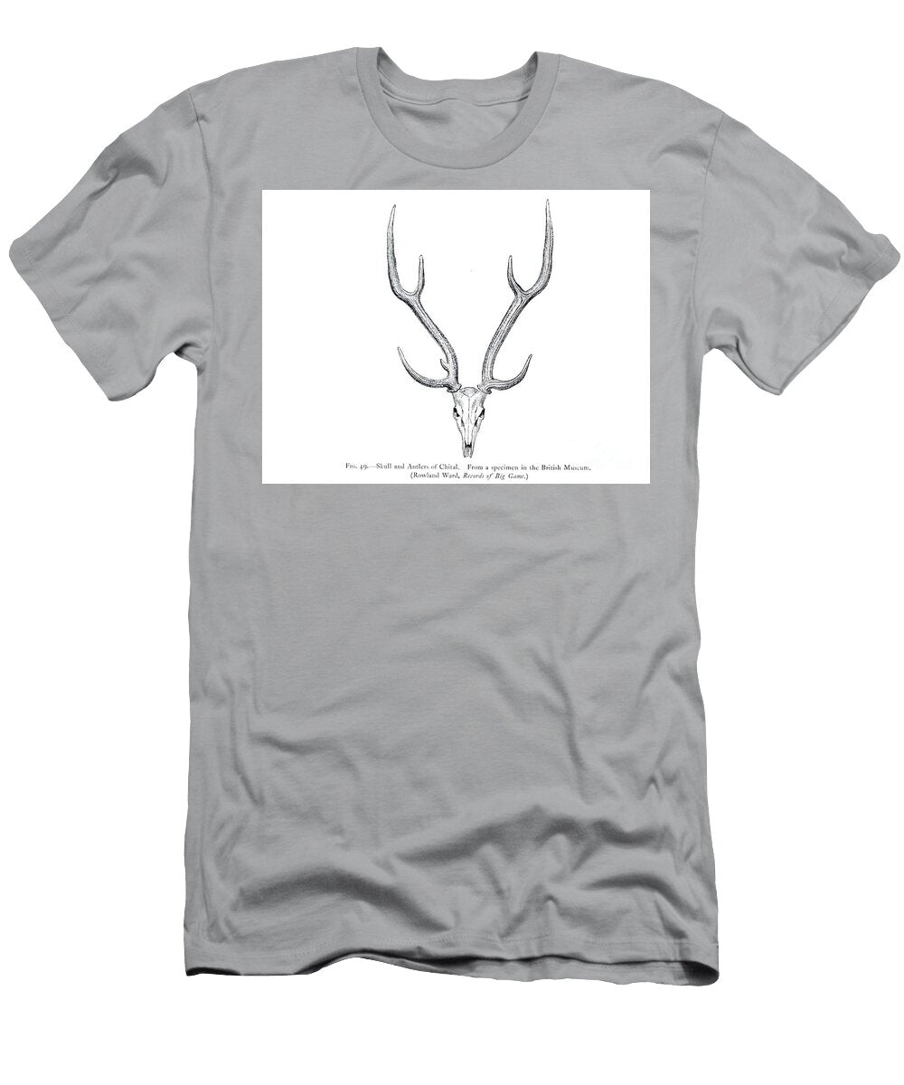 Skull and Antlers of the Chital Axis Axis O1 Historic Illustrations T-Shirt