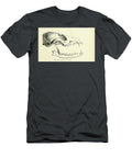 Skull of a Desert Fox Canis Leucopus C1 Historic Illustrations T-Shirt