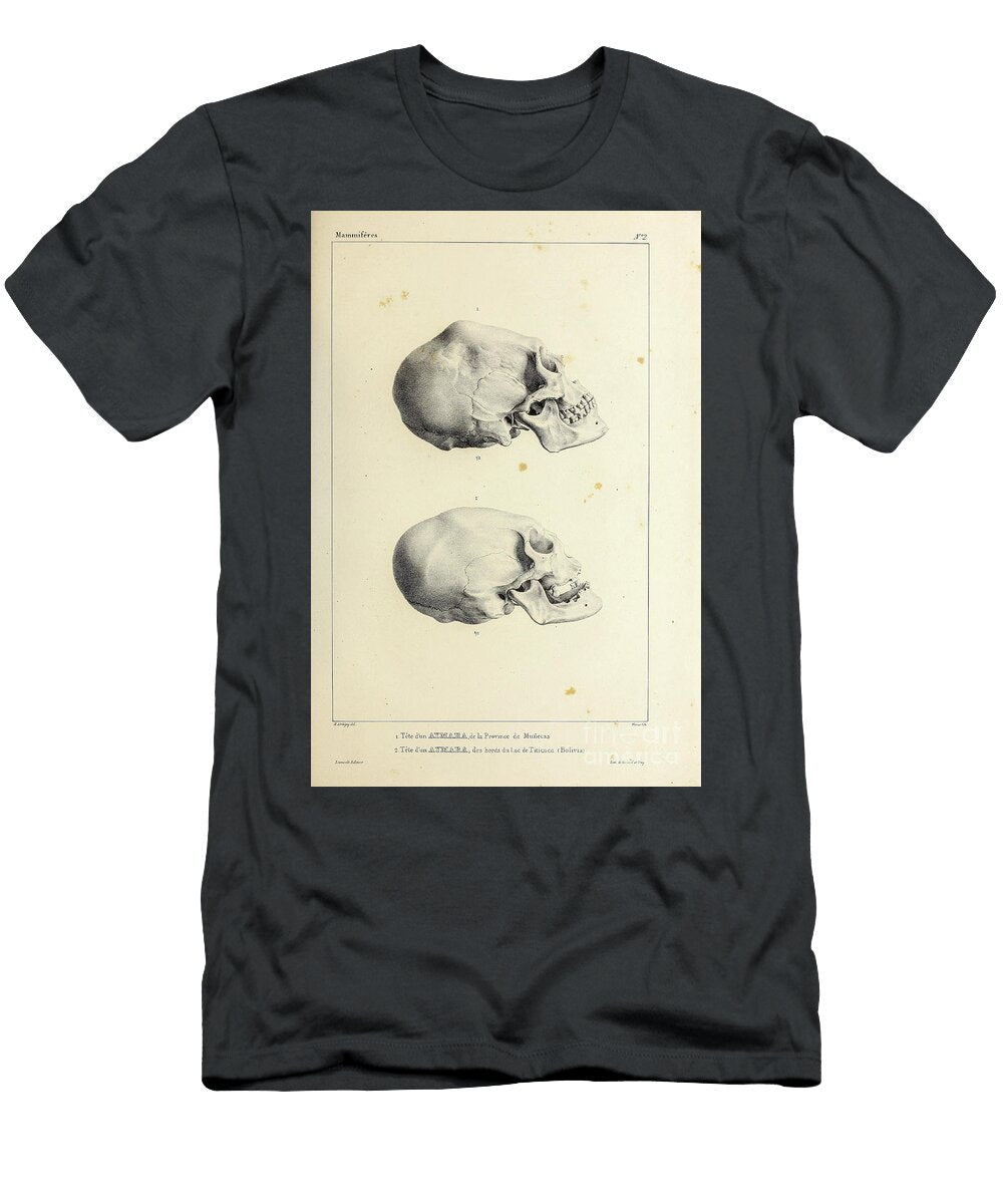 Skull of an Aymara Indian U1 Historic Illustrations T-Shirt