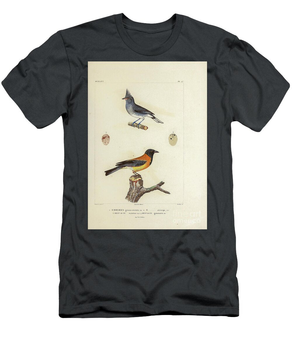 South American Finches 1835 U1 Historic Illustrations T-Shirt