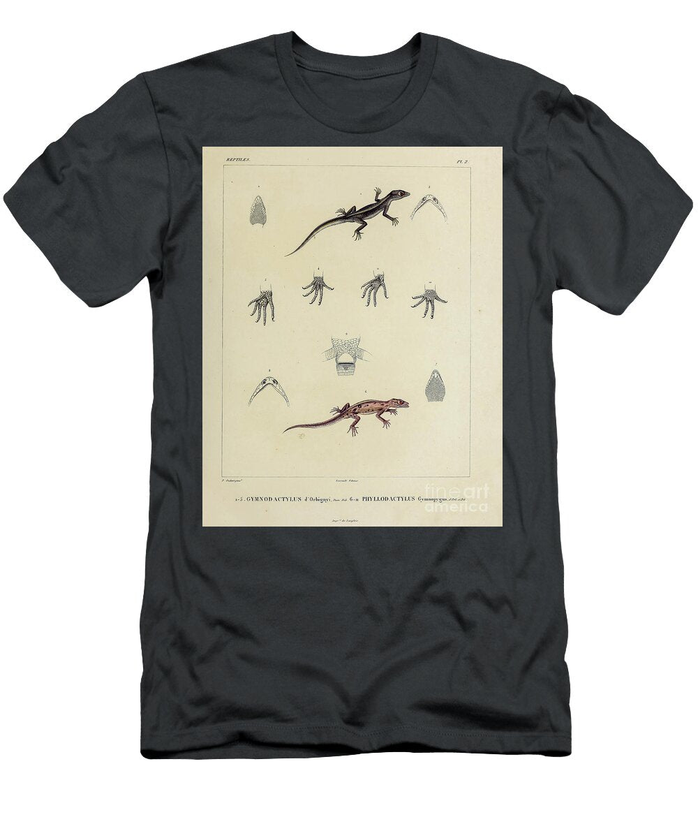 South American Geckos B1 Historic Illustrations T-Shirt