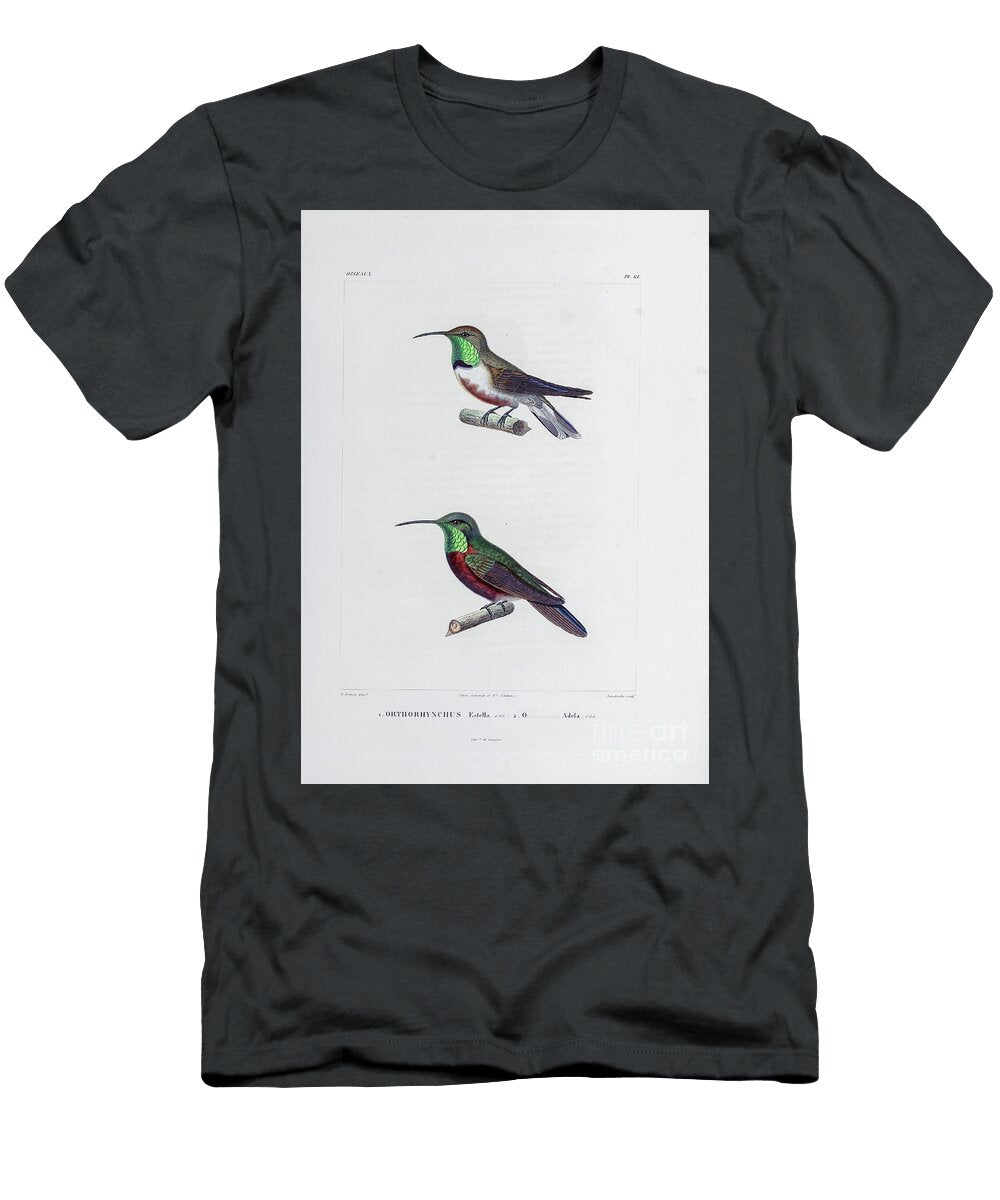 South American Hammingbirds 1835 U1 Historic Illustrations T-Shirt