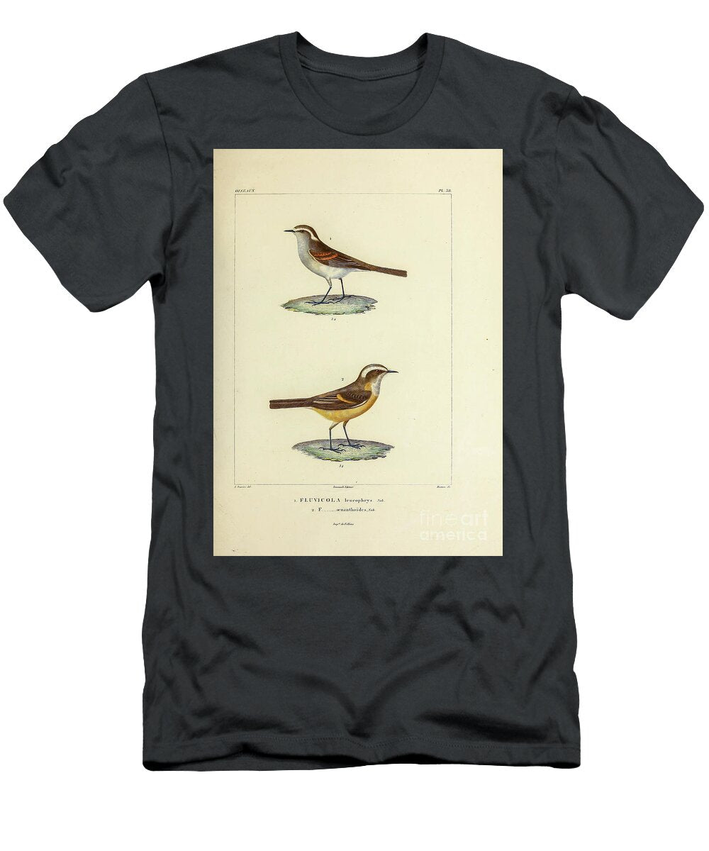 South American Tyrants 1835 U1 Historic Illustrations T-Shirt