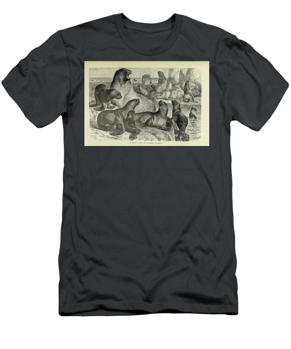 Southern Sea Lions M2 Historic Illustrations T-Shirt