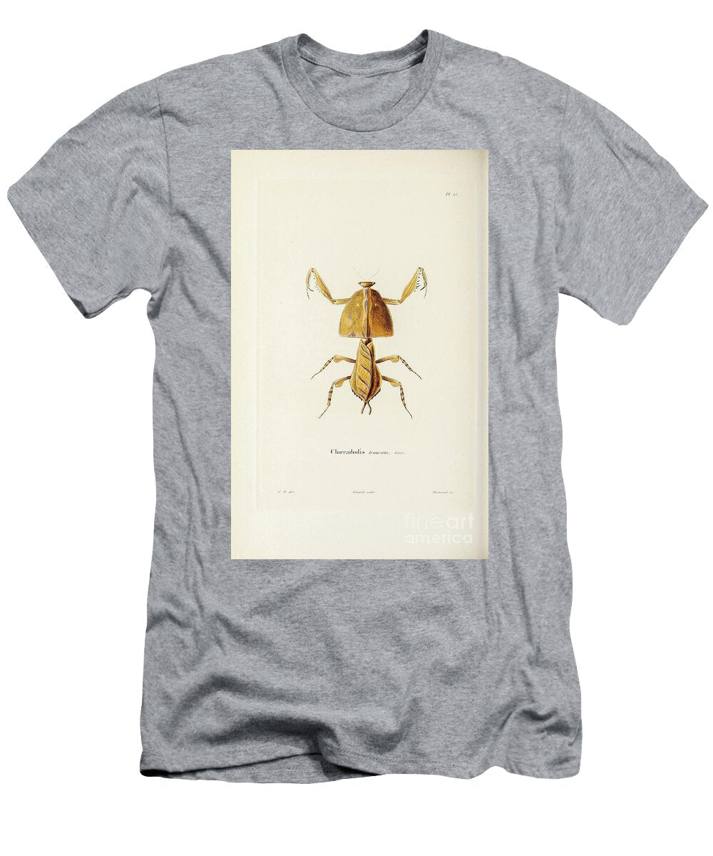 Souvenirs From a Voyage to India 1843 R12 Historic Illustrations T-Shirt