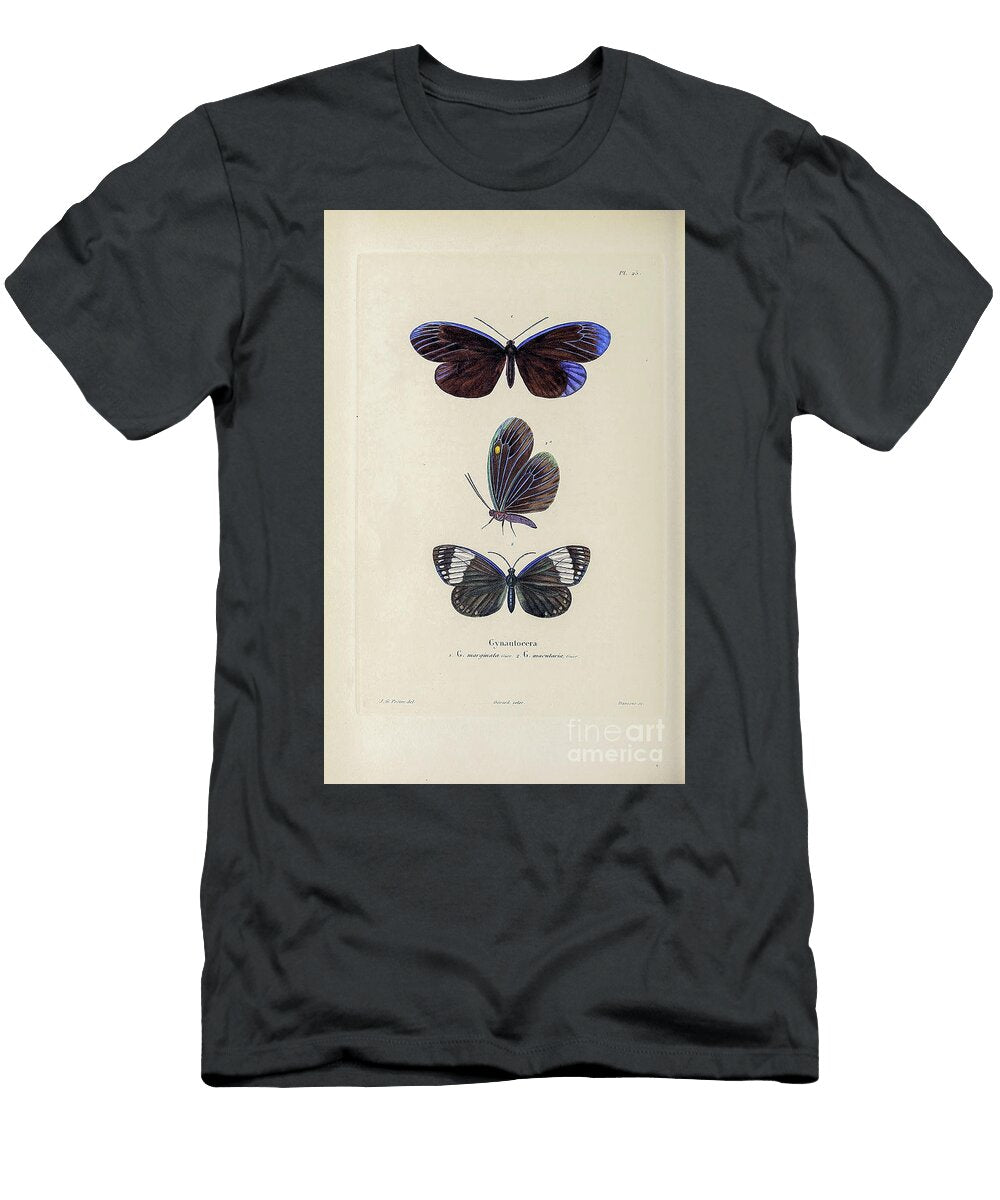 Souvenirs From a Voyage to India 1843 R14 Historic Illustrations T-Shirt