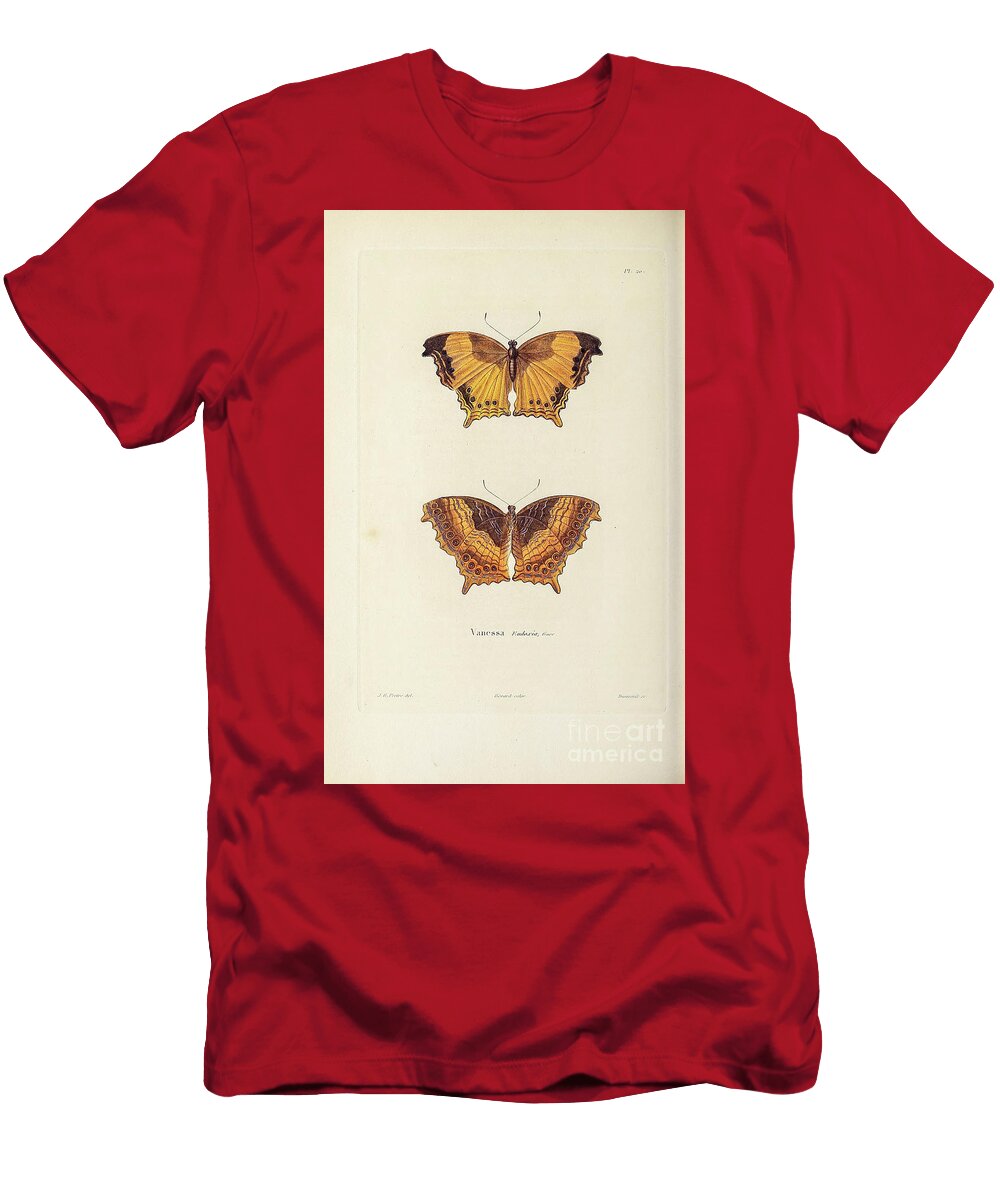 Souvenirs From a Voyage to India 1843 R17 Historic Illustrations T-Shirt